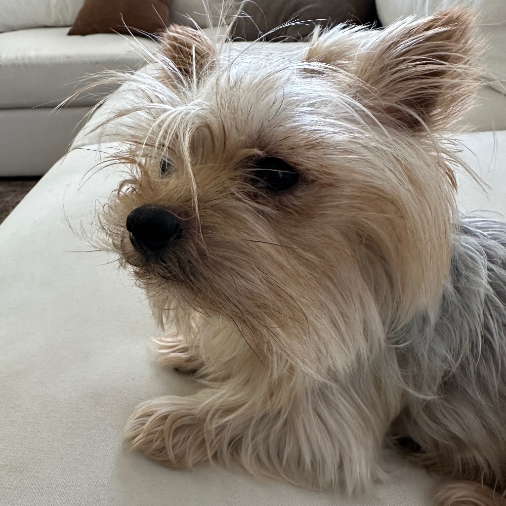 Meet your Posher, Tammy